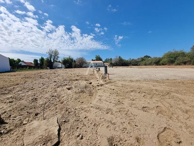 /international/fr/le-fenouiller-pays-de-la-loire-310104463362/