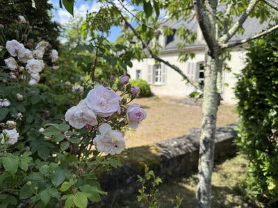 /international/fr/saint-cyr-sur-loire-centre-val-de-loire-310108590258/