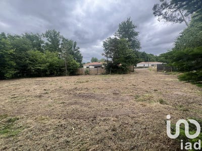 /international/fr/la-brede-limousin-310100822985/
