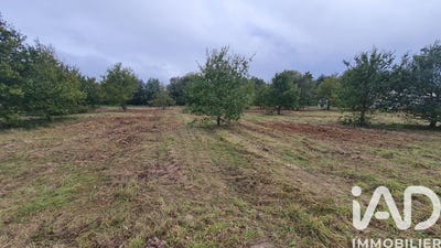 /international/fr/coudroy-centre-val-de-loire-310104826925/
