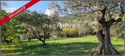 /international/fr/manosque-provence-alpes-cote-d-azur-310100298930/