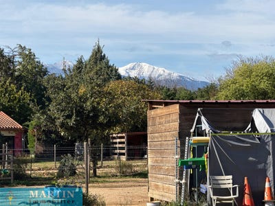 /international/fr/saint-jean-pla-de-corts-languedoc-roussillon-310103643777/