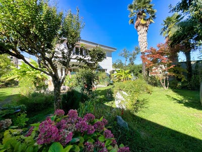 /international/fr/marciac-midi-pyrenees-310099811491/