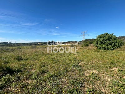 /international/fr/narbonne-languedoc-roussillon-310107294643/