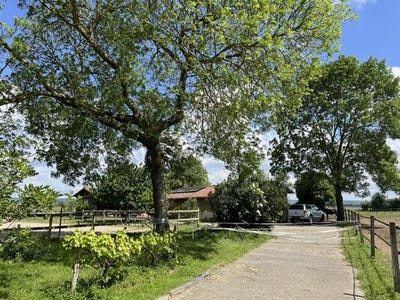 /international/fr/martres-de-riviere-midi-pyrenees-310105073744/