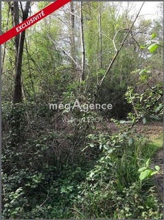 /international/fr/aillas-aquitaine-310107374266/