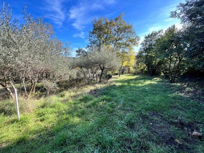 /international/fr/monoblet-languedoc-roussillon-310108315351/