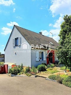 /international/fr/saint-bernard-alsace-310106116605/
