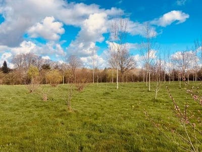 /international/fr/grosbreuil-pays-de-la-loire-310106335177/