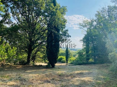 /international/fr/uzes-aquitaine-310104919185/