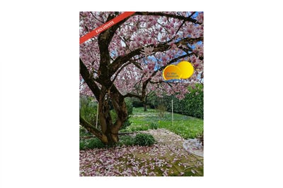 /international/fr/auxonne-burgundy-310106295387/