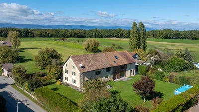 /international/fr/massongy-rhone-310103042536/