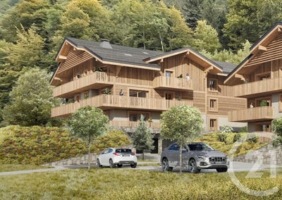 /international/fr/montriond-rhone-310104936408/