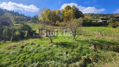 /international/fr/ribeauville-alsace-310109093825/