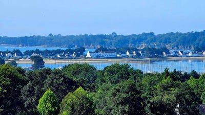 /international/fr/la-foret-fouesnant-brittany-310108671146/