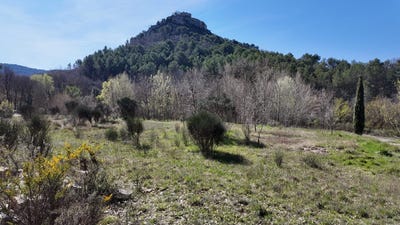 /international/fr/entrechaux-provence-alpes-cote-d-azur-310107555089/
