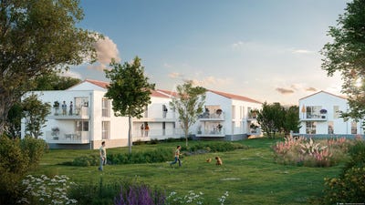 /international/fr/la-barre-de-monts-pays-de-la-loire-310108260762/