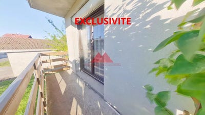 /international/fr/bois-d-amont-franche-comte-310102788651/