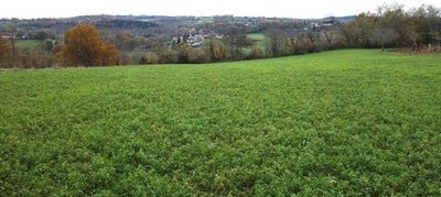 /international/fr/nailhac-aquitaine-310099627271/?lang=zh-tw