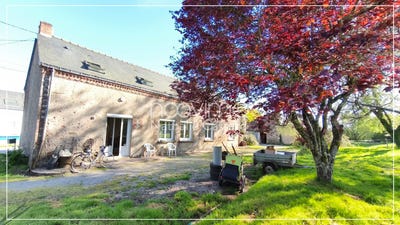 /international/fr/nort-sur-erdre-pays-de-la-loire-310107443385/