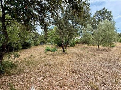 /international/fr/saint-maximin-la-sainte-baume-provence-alpes-cote-d-azur-310101386528/?lang=en