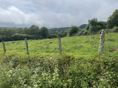 /international/fr/razes-limousin-310105351390/