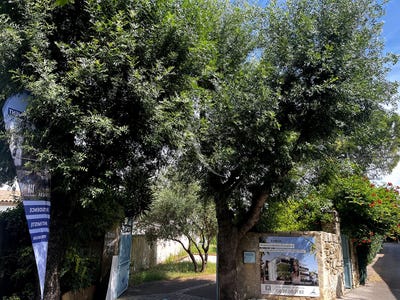 /international/fr/lattes-languedoc-roussillon-310108556338/