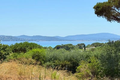 /international/fr/sainte-maxime-provence-alpes-cote-d-azur-310107186290/