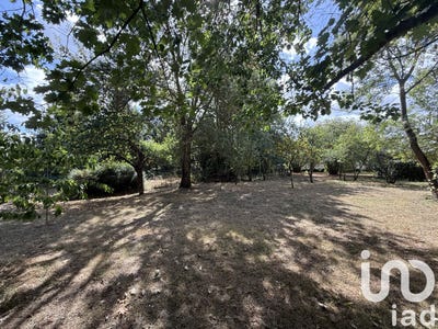 /international/fr/murs-erigne-pays-de-la-loire-310106590781/