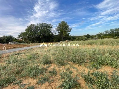 /international/fr/espondeilhan-languedoc-roussillon-310108594529/