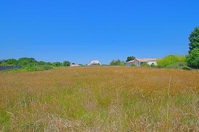 /international/fr/l-ile-d-olonne-pays-de-la-loire-310101441683/