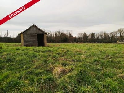 /international/fr/noyen-sur-sarthe-pays-de-la-loire-310100141935/