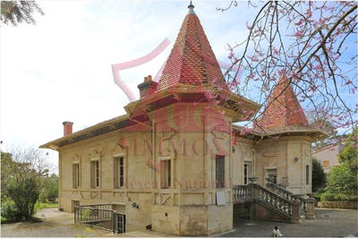 /international/fr/meschers-sur-gironde-charente-310098876717/