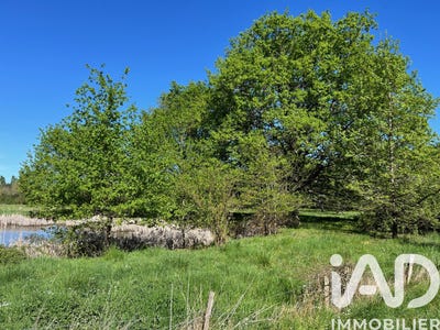 /international/fr/saint-christophe-en-bazelle-centre-val-de-loire-310107577334/