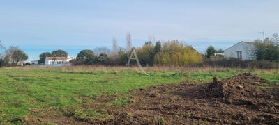 /international/fr/le-fenouiller-pays-de-la-loire-310104466149/