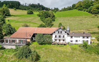 /international/fr/saint-die-des-vosges-lorraine-310107025591/