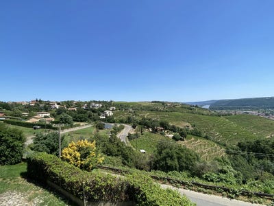 /international/fr/vienne-rhone-120094462686/?lang=zh-cn
