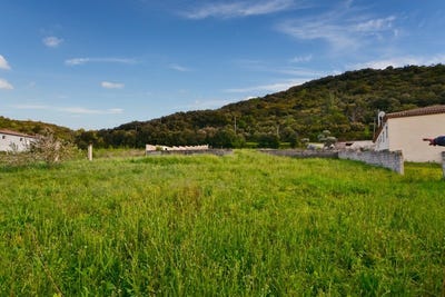 /international/fr/saint-nazaire-de-ladarez-languedoc-roussillon-310101043011/