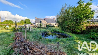 /international/fr/cavan-brittany-310108245051/