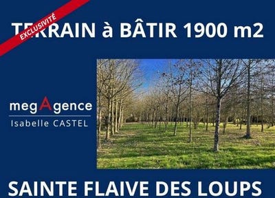 /international/fr/sainte-flaive-des-loups-pays-de-la-loire-310106138631/