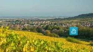/international/fr/eckwersheim-alsace-310105009220/