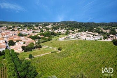 /international/fr/bizanet-languedoc-roussillon-310108101515/