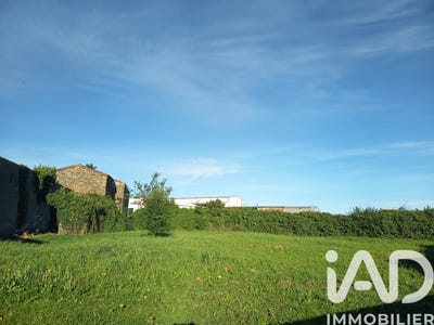 /international/fr/l-oie-pays-de-la-loire-310108667560/
