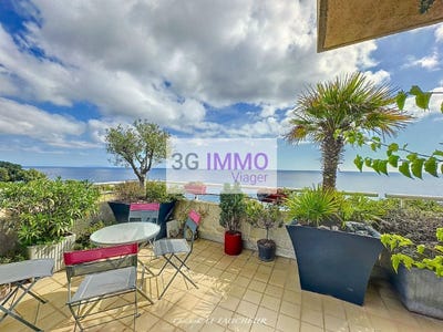 /international/fr/san-martino-di-lota-corsica-310103618714/