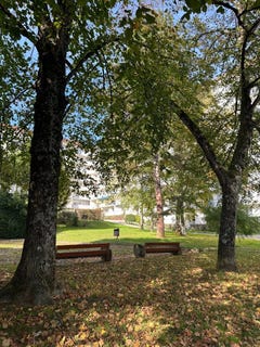 /international/fr/besancon-franche-comte-310107978637/