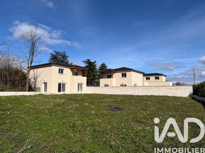 /international/fr/felines-rhone-310108560520/