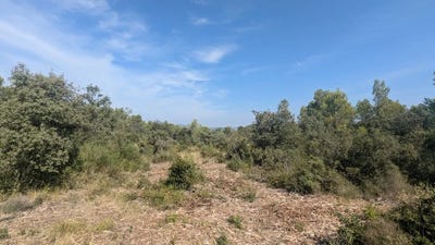 /international/fr/carces-provence-alpes-cote-d-azur-120094280665/