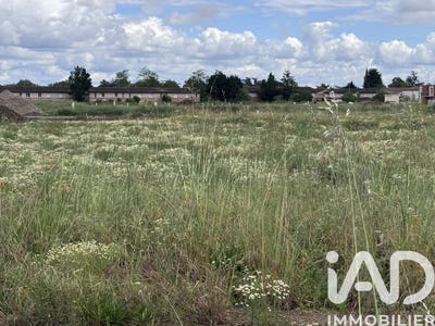 /international/fr/frouzins-midi-pyrenees-310108040602/