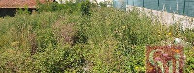 /international/fr/breuillet-charente-310100792179/
