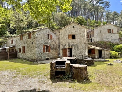 /international/fr/saint-martin-de-boubaux-languedoc-roussillon-310109176451/